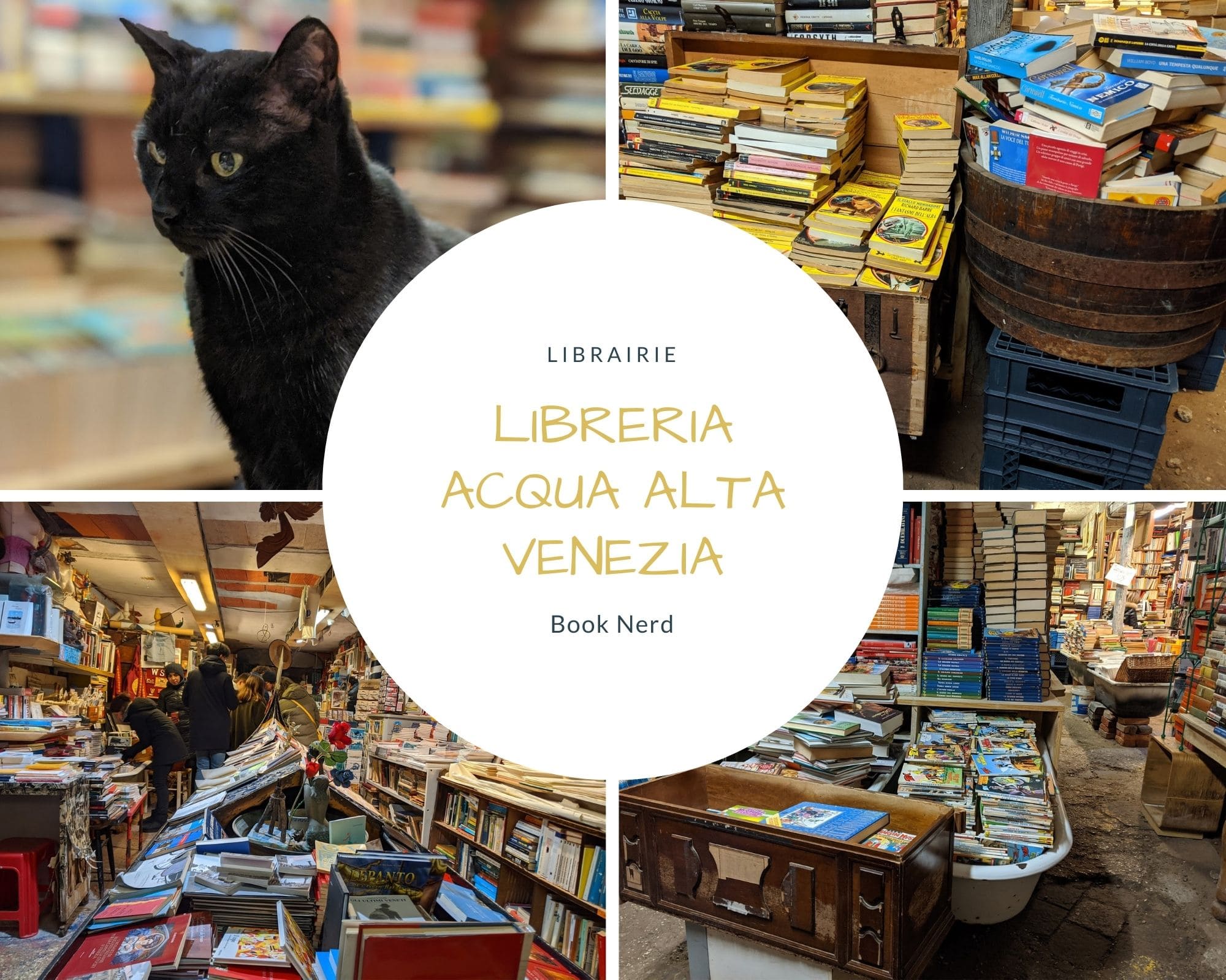 La Libraria Acqua Atla de Venise en Italie - Le Monde du Livre