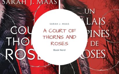 A Court of Thorns and Roses - Un Palais d'Epines et de Roses - ACOTAR tome 1 - Résumé et Avis - Sarah J. Maas