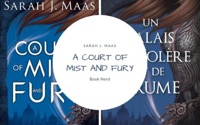 A Court of Mist and Fury - Sarah J. Maas - Résumé et Review - Acotar #2