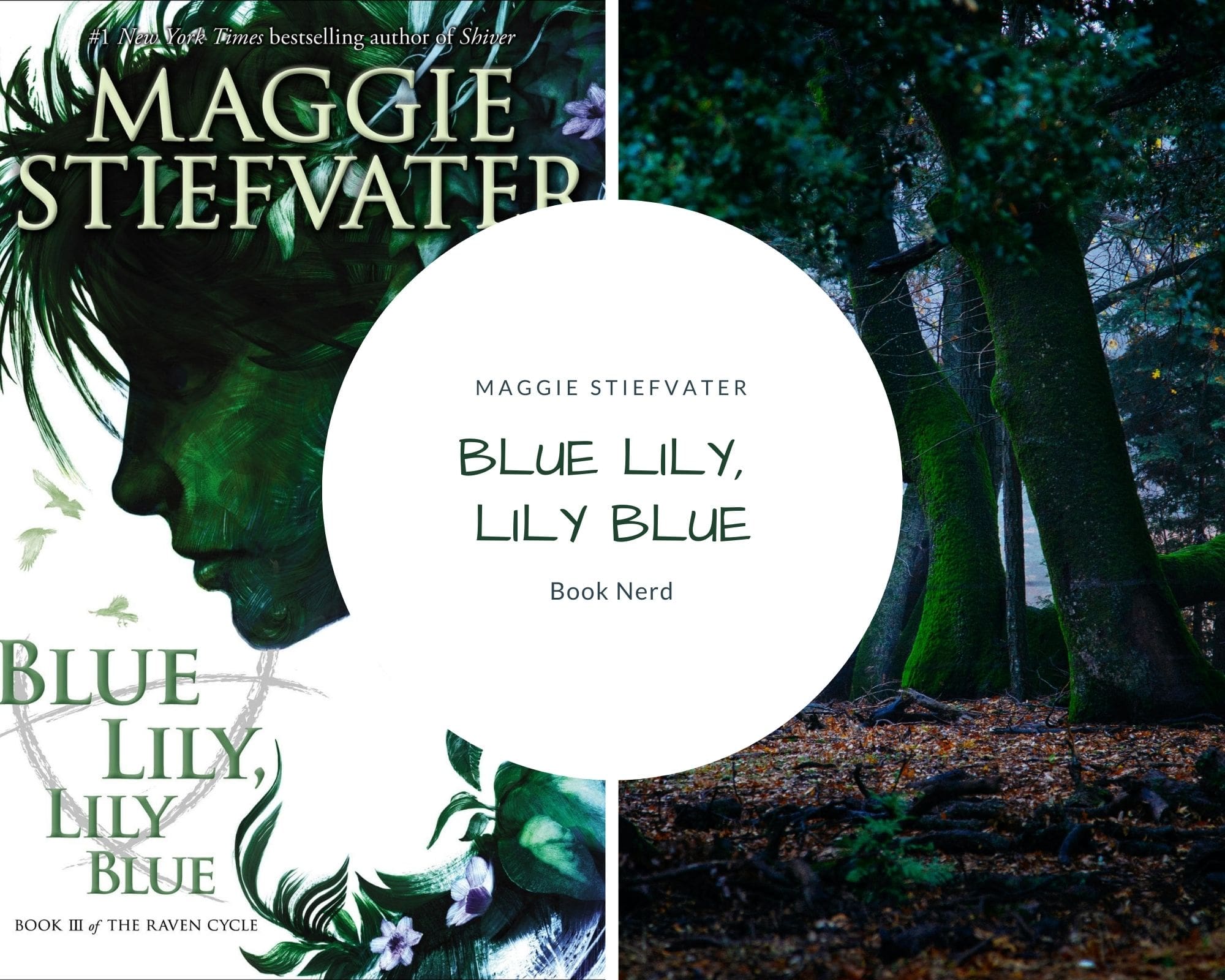 Blue Lily, Lily Blue (The Raven Cycle #3) - Maggie Stiefvater - Résumé et Avis - Book Nerd