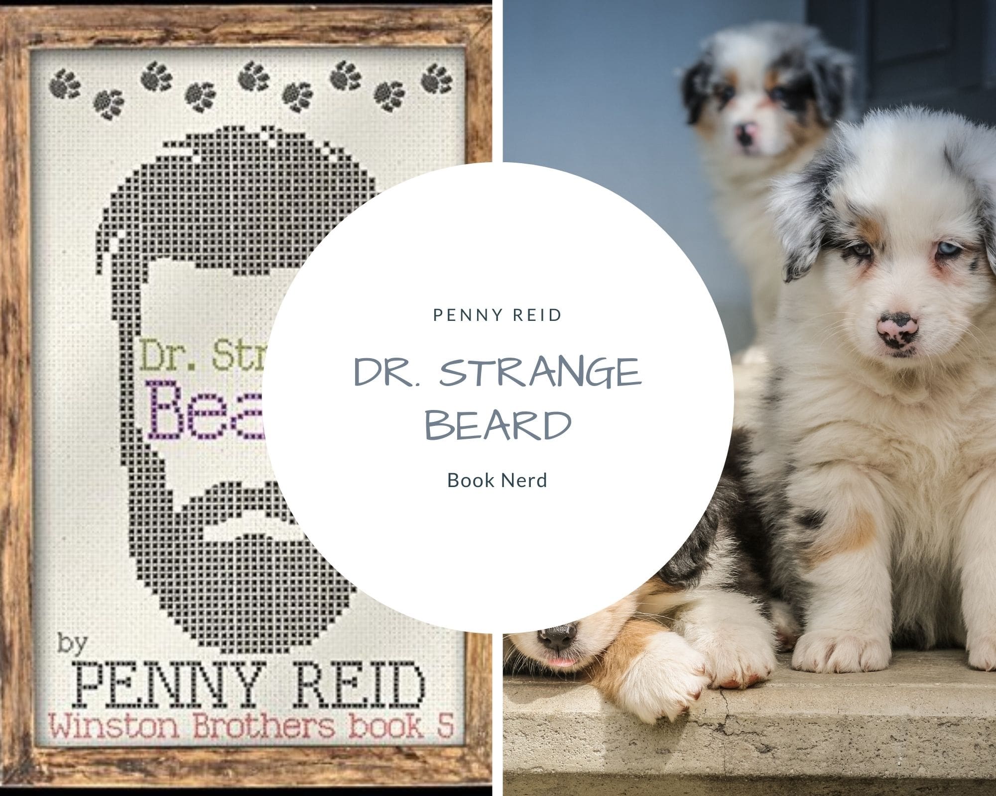 Dr Strange Beard - Winston Brothers 5 - Penny Reid - Résumé & Review