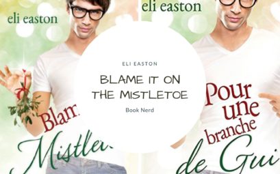 Blame it on the Mistletoe - Pour une branche de Gui - Eli Easton - Résumé & Avis