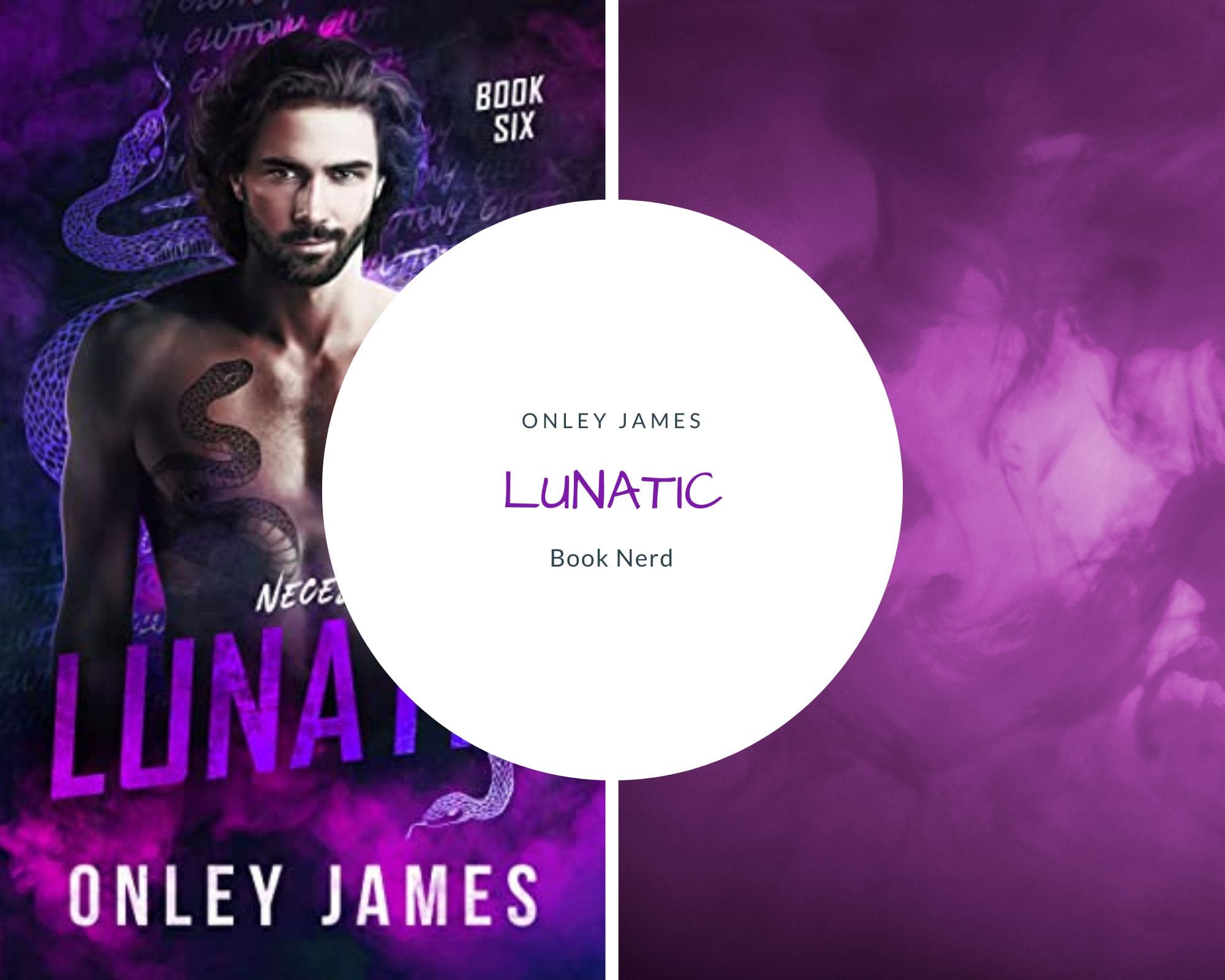 Lunatic - Necessary Evils #6 - Onley James - Résumé & Avis