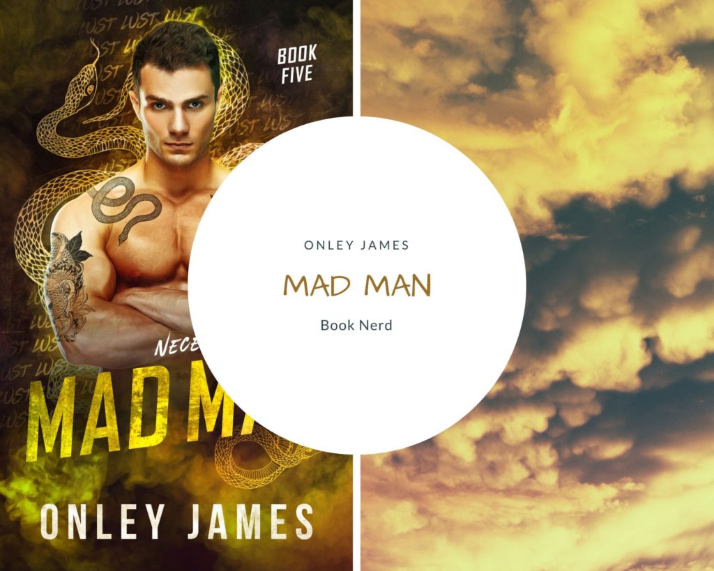 Mad Man - Necessary Evils #5 - Onley James - Résumé & Avis