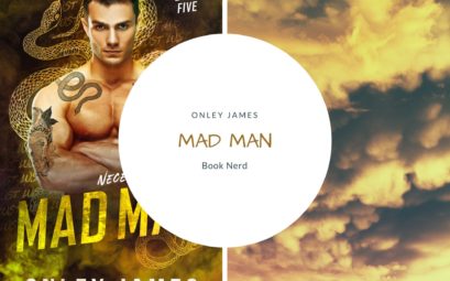 Mad Man - Necessary Evils #5 - Onley James - Résumé & Avis