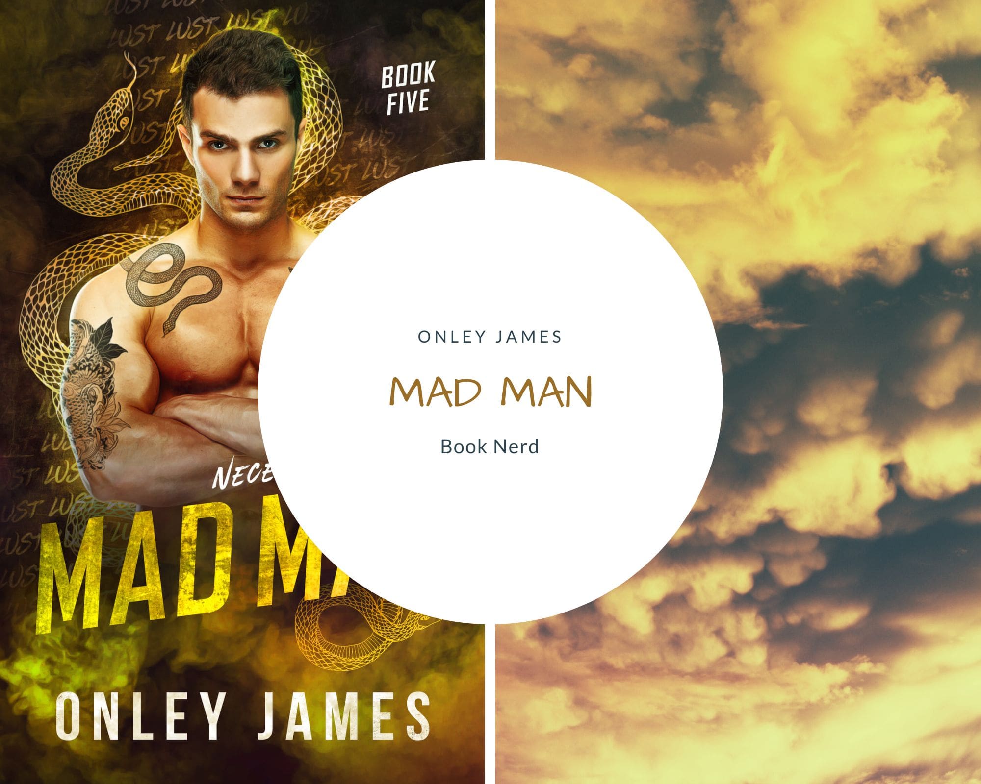 mad-man-necessary-evils-5-onley-james-r-sum-avis-book-nerd