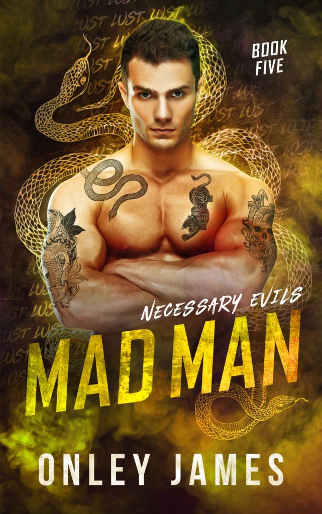 Mad Man Necessary Evils Onley James Résumé Avis Book Nerd