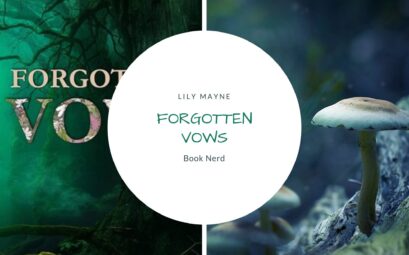 Forgotten Vows (Folk #2) - Lily Mayne - Résumé & Avis - Book Nerd