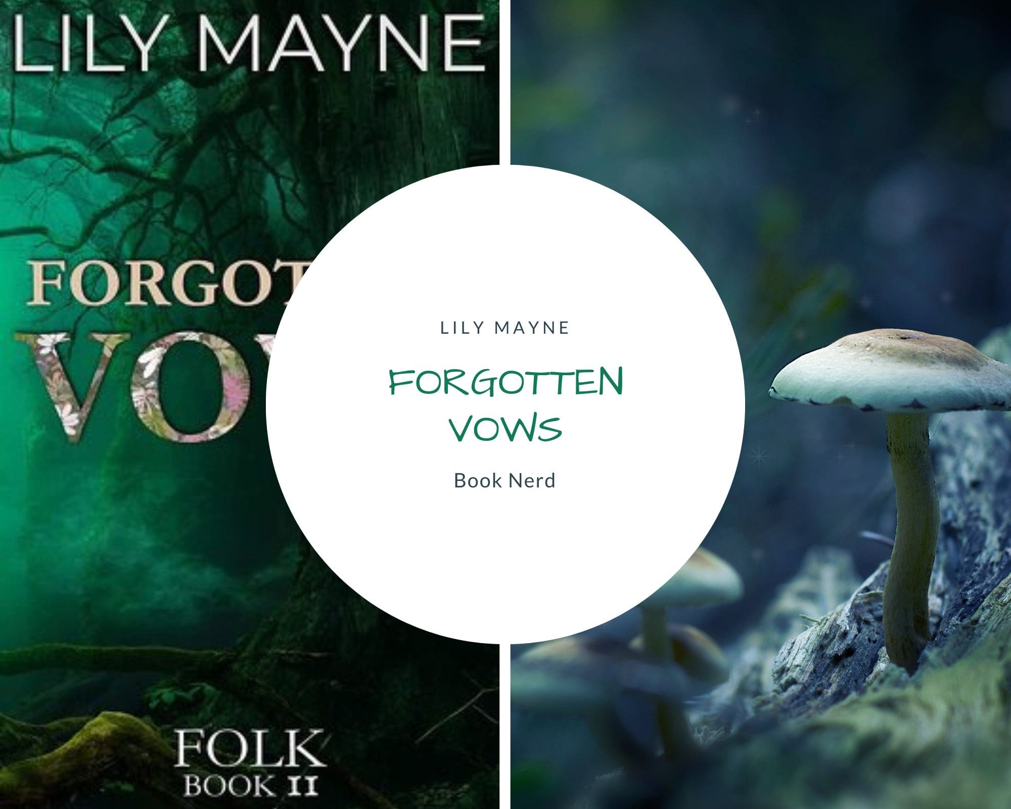 Forgotten Vows (Folk #2) - Lily Mayne - Résumé & Avis - Book Nerd