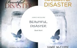 Beautiful Disaster (Beautiful #1) - Jamie McGuire - Résumé & Avis