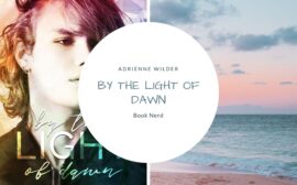 By the Light of Dawn - Adrienne Wilder - Morgan and Grant #2 - Résumé & Avis