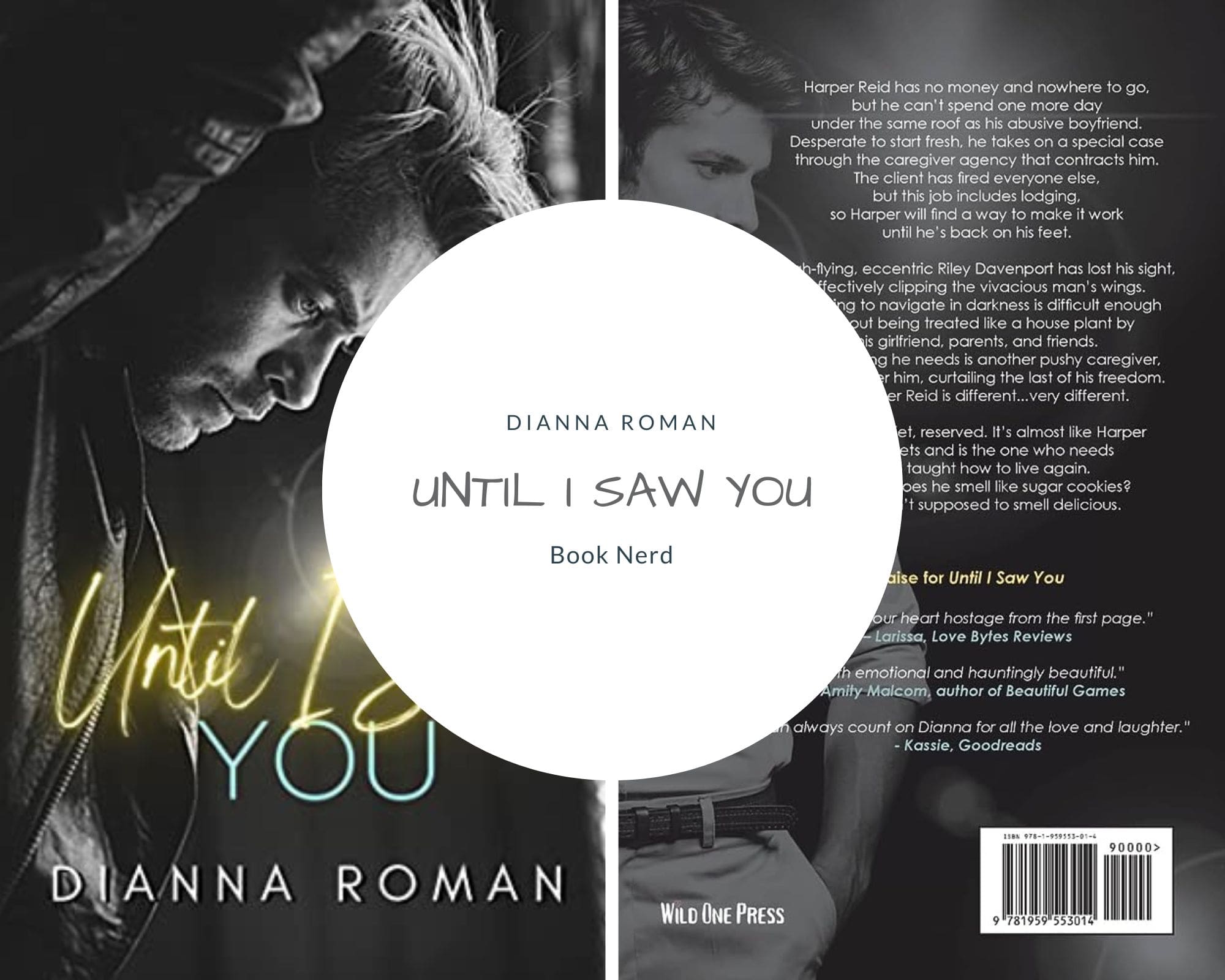 Until I Saw You - Dianna Roman - Résumé & Avis