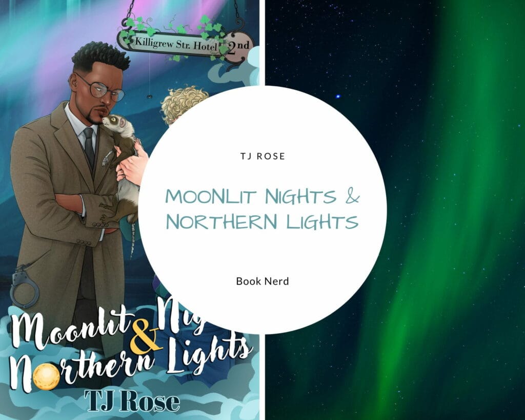 Moonlit Nights & Northern Lights (The Killigrew Street Case Files #2) - TJ Rose - Résumé & Avis